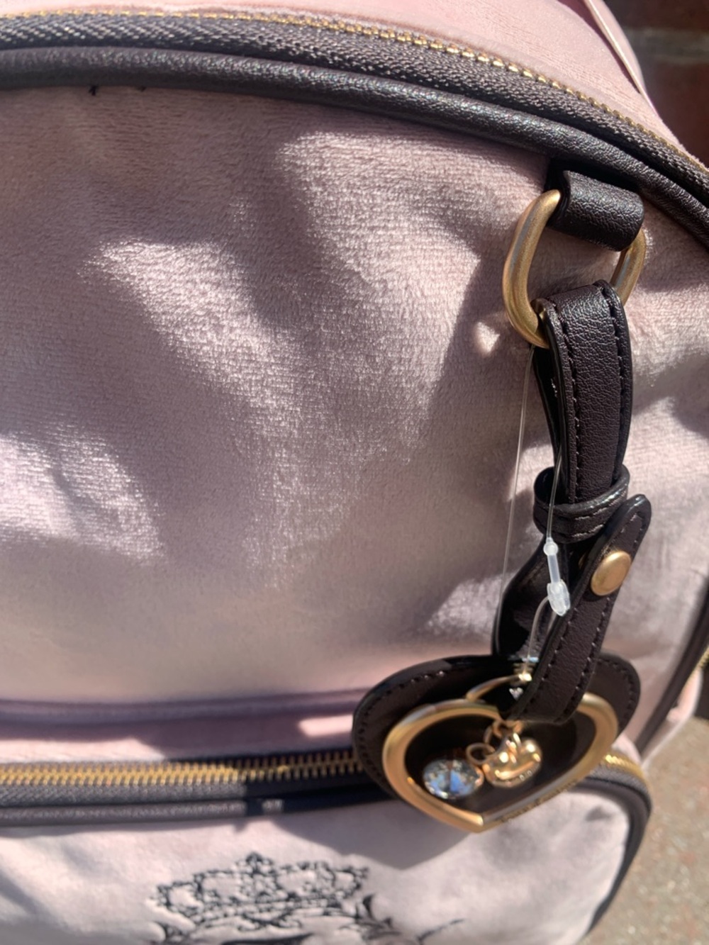SOLD!!!🆕-Juicy Couture NEED MORE JUICY BACKPACK IN DUSTY BLUSH - Picture 6 of 8